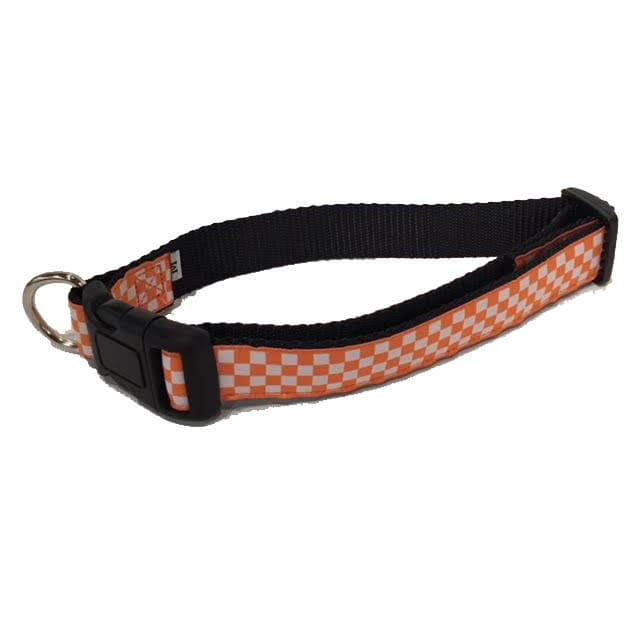 checkerboard dog collar