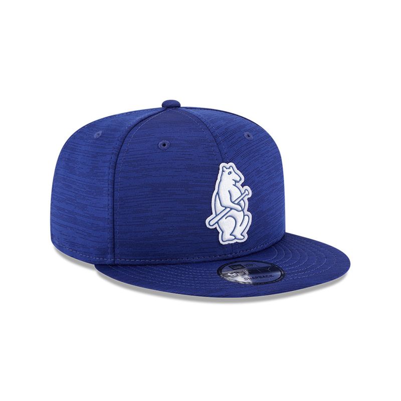 Chicago Cubs Adjustable Hat